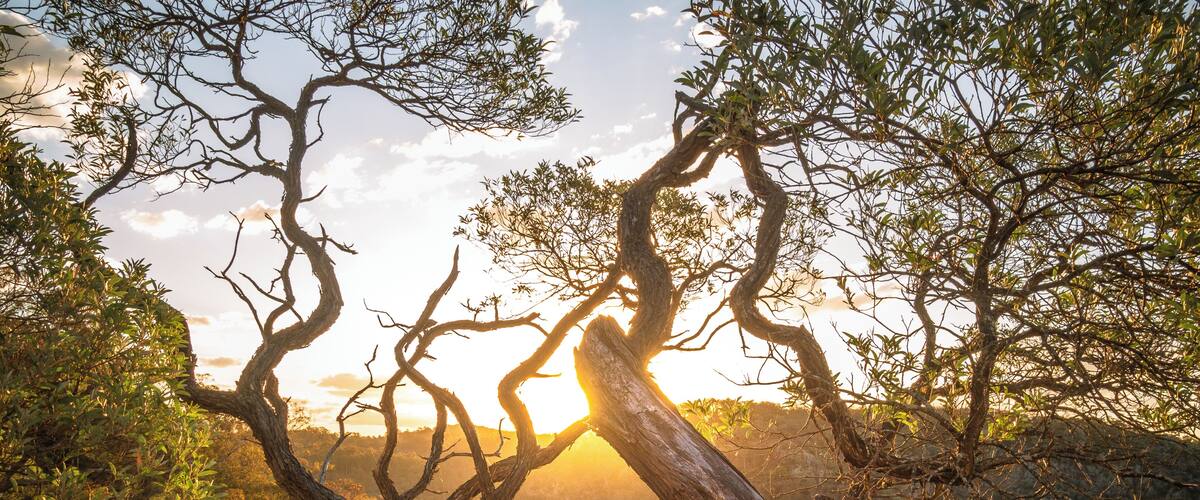 Sunset at Bungonia National Park.