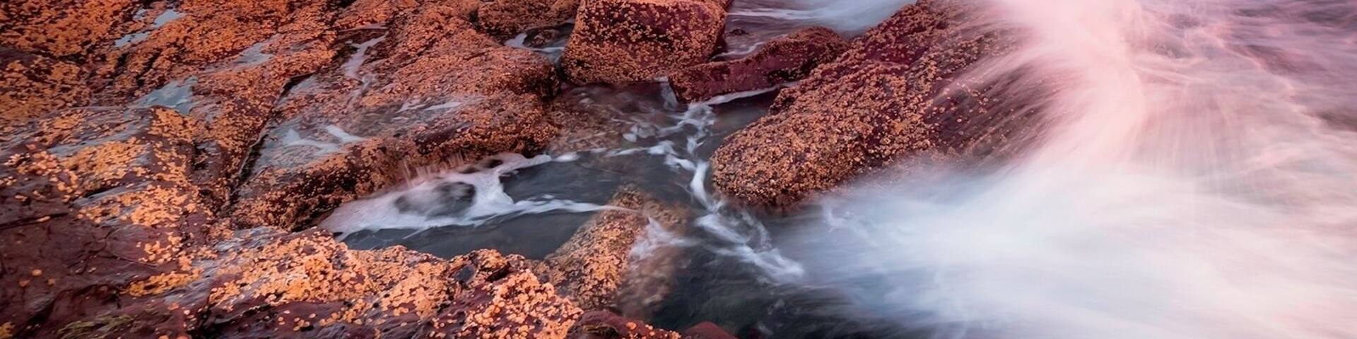 Gorgeous sunrise and sunsets to be had at on this island by all. And you don't need a boat to get here. Its a short stroll from the carpark.