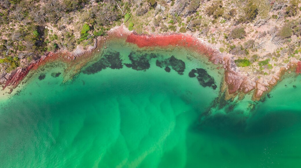 Aerial panorama view of a coastal river bank with rocks covered in colorful lichen