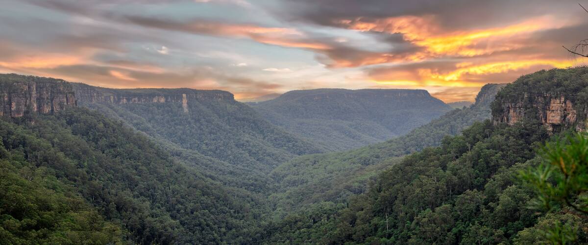 A canyon with steep cliffs and dense forest.