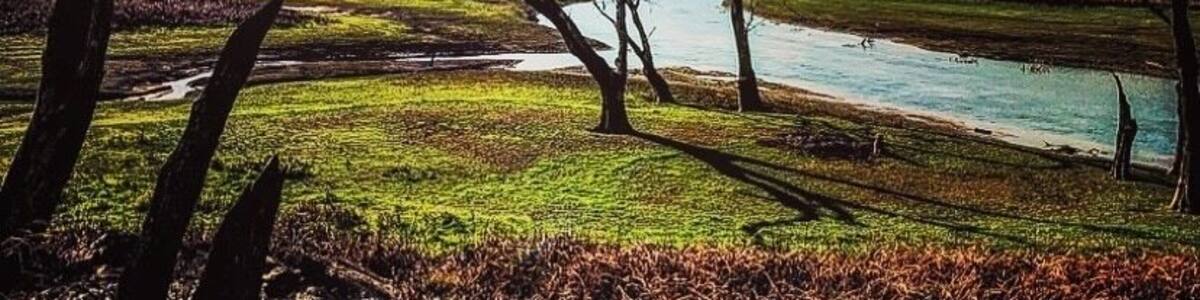 If fishing’s your thing, this is a must. With the Lake low as it is now, the Eucumbene River, in southern NSW, is easily accessible.The head of the lake and entrance to the river is just past Anglers Reach.Get a boat and catch some trout.