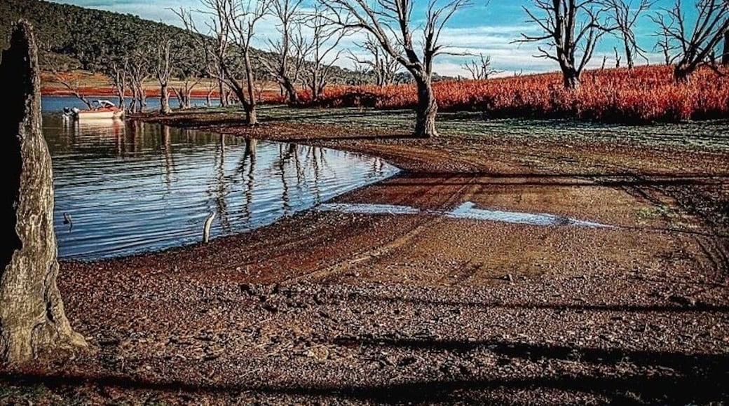 My favourite place to be.Anglers Reach in the snowy mountains,NSW is a fisherman/woman’s delight.
Easily accessed, good accommodation. Got to see it for yourself and, get on a boat.