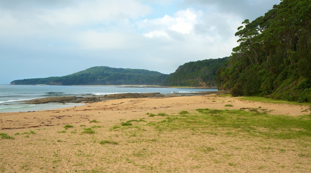 Pebbly Beach featuring general coastal views and a sandy beach