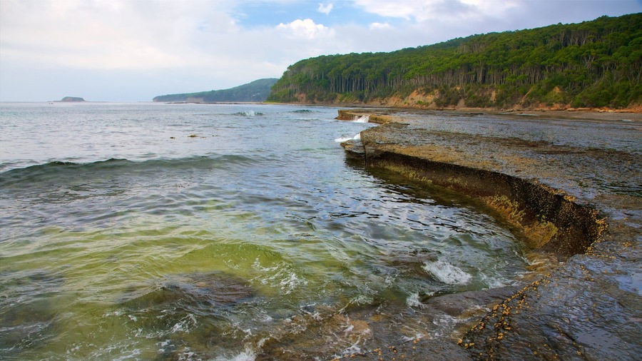 Pebbly Beach which includes general coastal views and rugged coastline