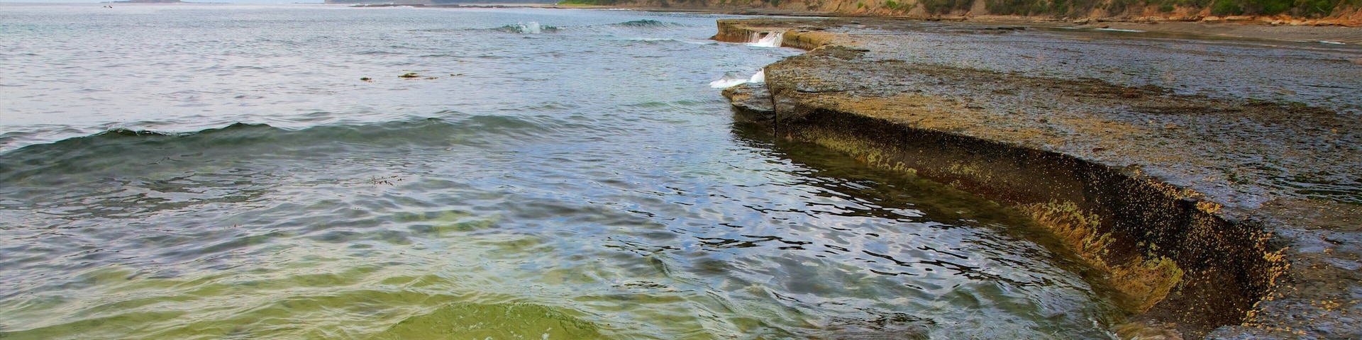 Pebbly Beach which includes general coastal views and rugged coastline