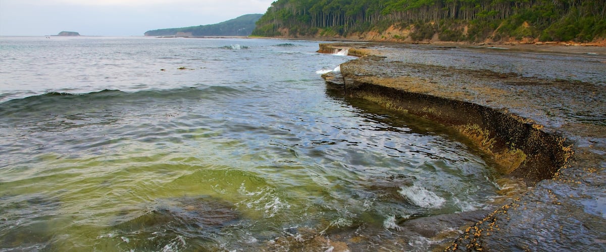 A coastal landscape with a rocky shoreline, waves, and a forested hill in the background.