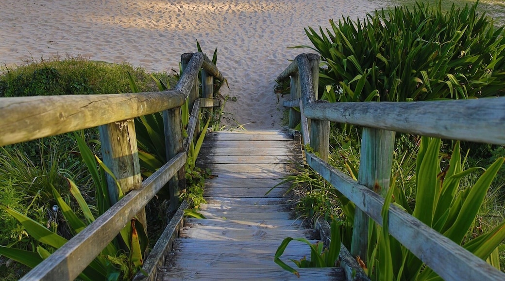 The South Coast of New South Wales is way too underrated! We for instance stumbled upon the beautiful Pebbly Beach, where forest, beach and kangaroos meet. Dreamlike.
#weekendgetaway
#EndlessSummer
#aquatrove
