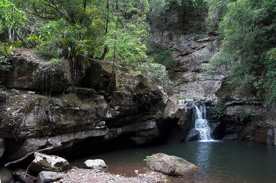 Once you're in the national park, keep walking towards the highlands. About 4 ks up, you'll encounter this magical little waterhole. Wonderful spot to walk in.