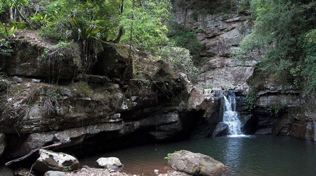 Once you're in the national park, keep walking towards the highlands. About 4 ks up, you'll encounter this magical little waterhole. Wonderful spot to walk in.