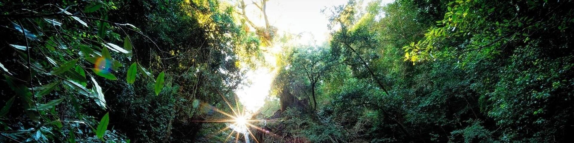 This is a leasurely track to do.
Bring a tripod no matter if its a bright sunny day. You're in full shadow and you will need it for a quality shot.
Also bring a second pair of shoes, rocks are tricky and I have no doubt there will be some wet socks, speaking from experience