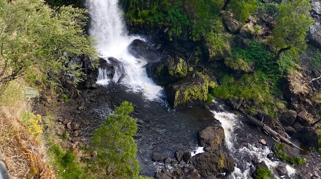 Waterfall in tumbarumba, Australia