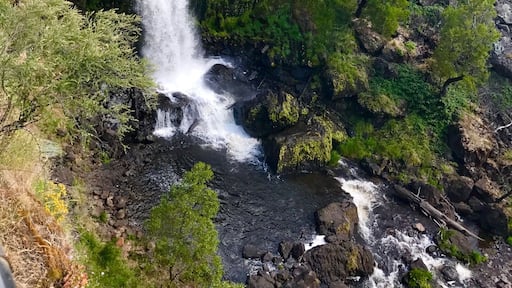 Waterfall in tumbarumba, Australia