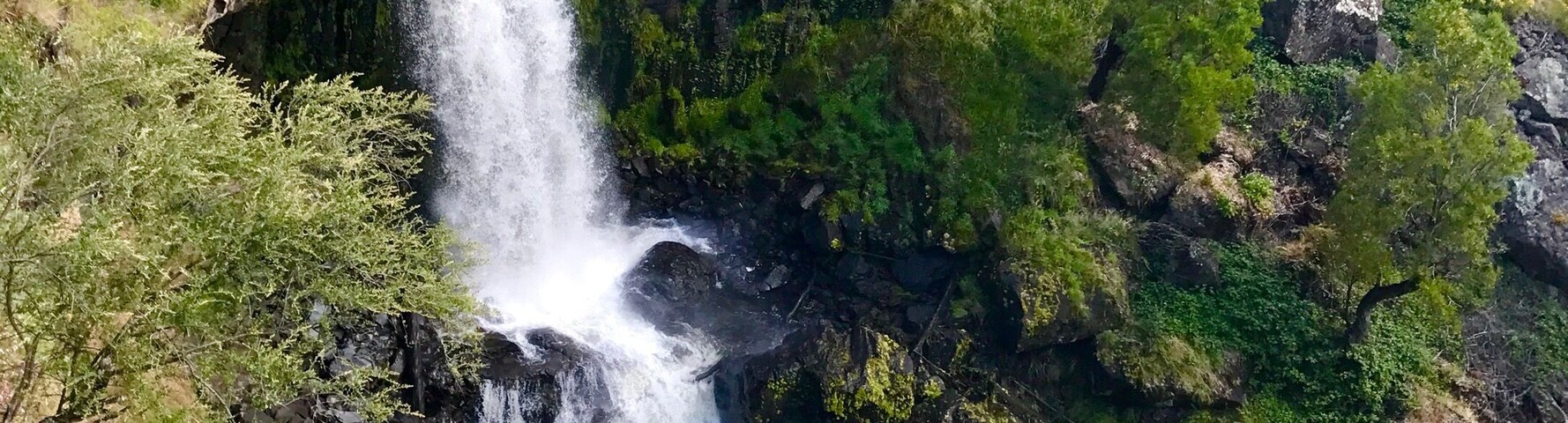 Waterfall in tumbarumba, Australia