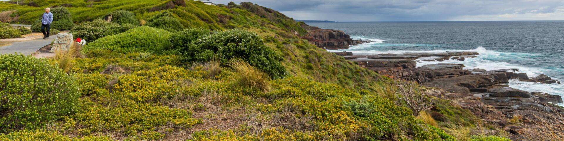 Green Cape showing general coastal views, a lighthouse and rocky coastline