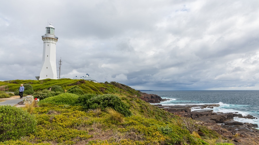 Green Cape showing general coastal views, a lighthouse and rocky coastline