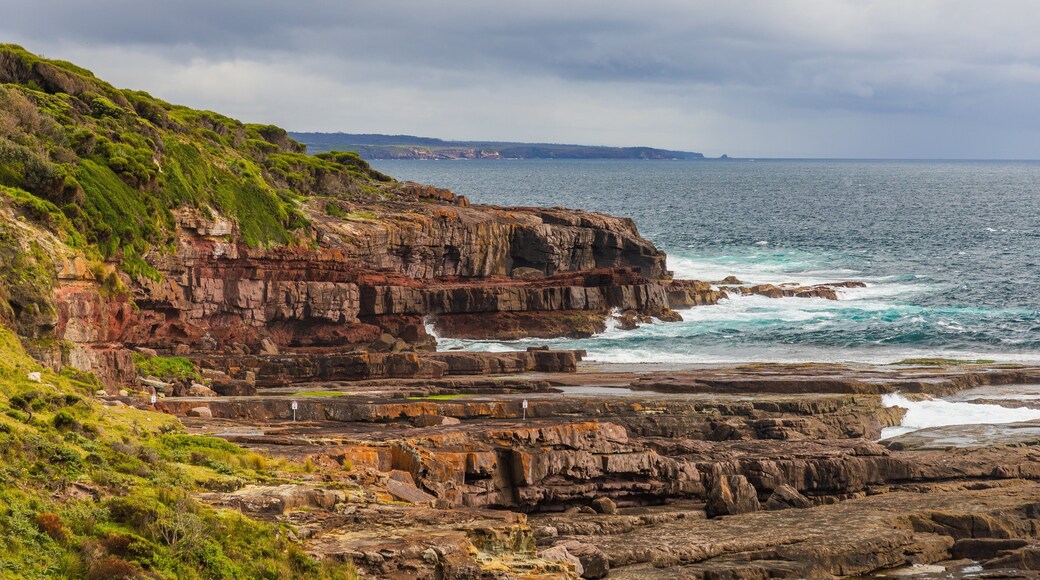 Green Cape featuring general coastal views and rocky coastline