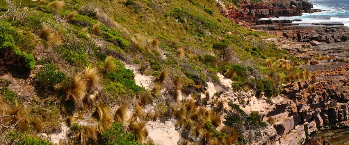 Greencape Lightstation in Ben Boyd National Park, NSW. With walks from easy to multi day, stunning isolated tracts of coast, lighthouse heritage, camping, fishing and surfing, why WOULDN'T you visit this beautiful park!!