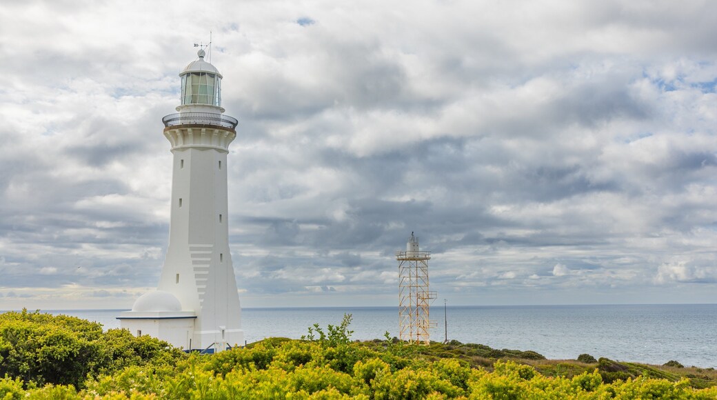 Green Cape showing general coastal views and a lighthouse