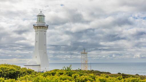 Green Cape showing general coastal views and a lighthouse