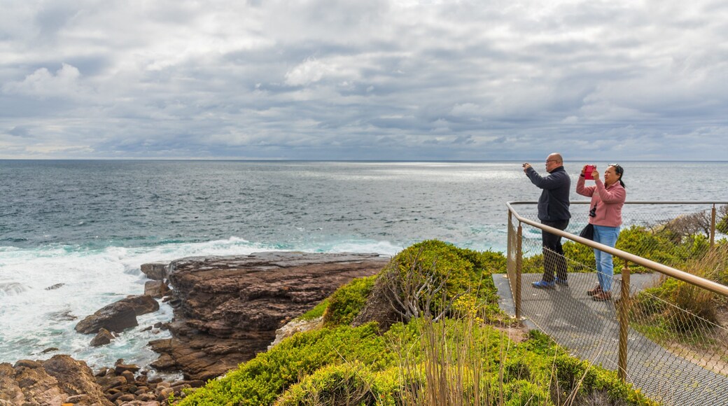 Green Cape featuring views, rocky coastline and general coastal views