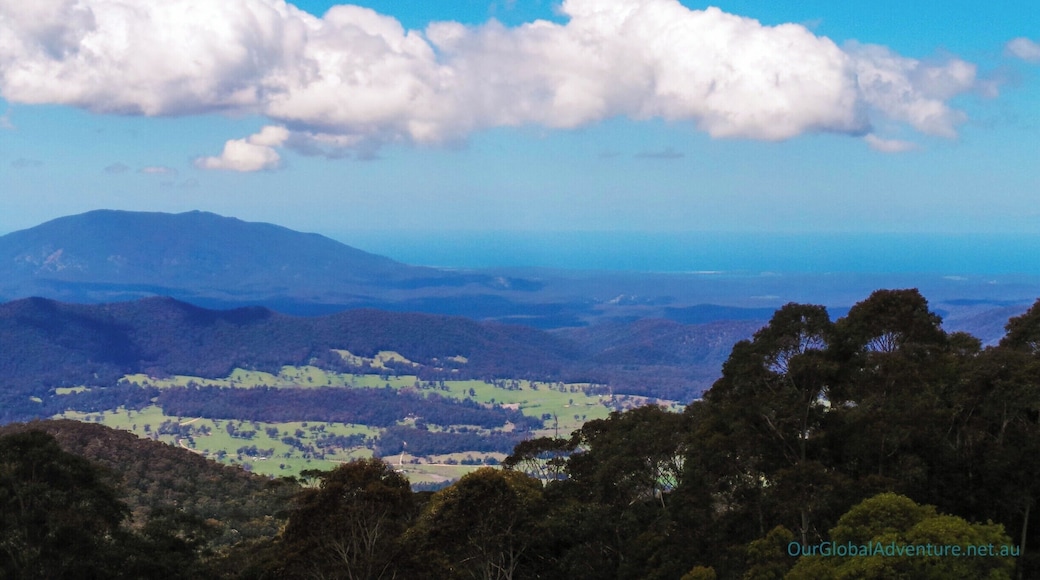 7km walk from Tilba Tilba to the summit of Mt Dromedary. Views to the ocean, and surrounds. This pic is from about half way up. #NationalPark