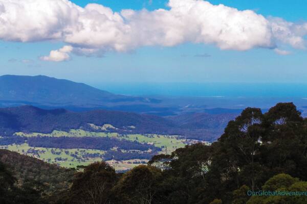 7km walk from Tilba Tilba to the summit of Mt Dromedary. Views to the ocean, and surrounds. This pic is from about half way up. #NationalPark