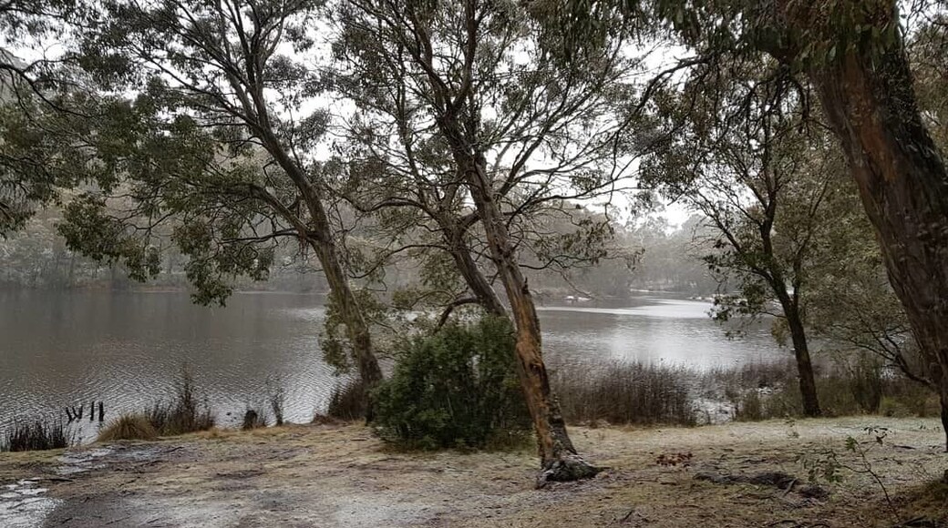Was a bit chilly camping out there but I was equipped to deal with it. This time of year the road is often closed due to snow and ice so I was lucky to get in and out.
Paddy's River Dam is a sight to behold when it's warm and dry, but it's like a fairytale in the sleet and snow, looking like something out of The Lion, The Witch and the Wardrobe.