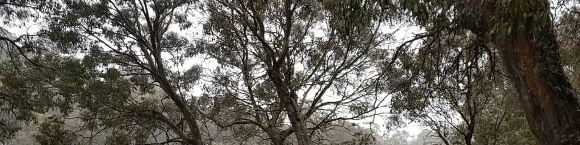 Was a bit chilly camping out there but I was equipped to deal with it. This time of year the road is often closed due to snow and ice so I was lucky to get in and out.
Paddy's River Dam is a sight to behold when it's warm and dry, but it's like a fairytale in the sleet and snow, looking like something out of The Lion, The Witch and the Wardrobe.