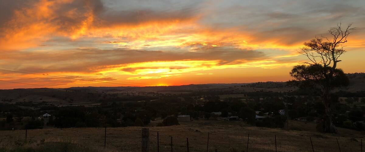 A sunset over a rural landscape with a prominent tree silhouette and distant buildings.