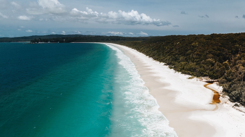 A coastal landscape with a white sandy beach, turquoise waters, and a forested hill in the background.