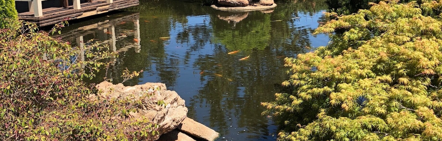 Beautiful Osawano Japanese’s garden in Wellington caves complex Wellington NSW