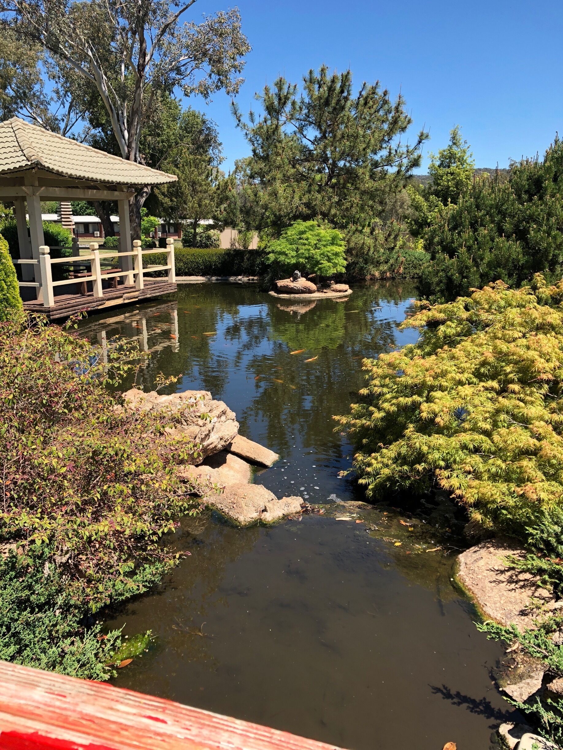 A serene pond with a wooden bridge, surrounded by lush greenery and trees.