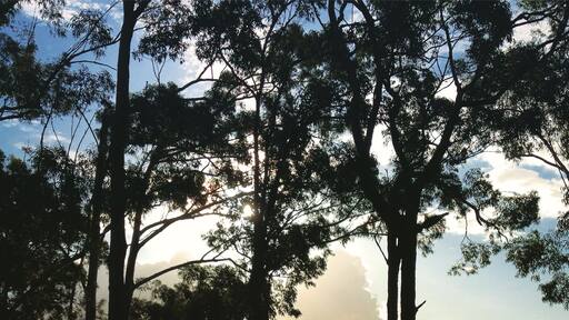 Pre-sunset on Queens Lakes, close to Laurieton. Well worth exploring this lovely little part of the country. #roadtrip