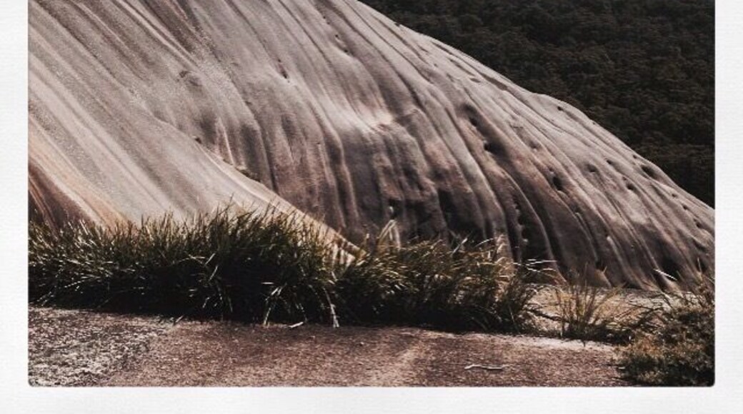 Bald Rock is the largest exposed granite formation in the Southern Hemisphere. 750m long, 500m wide. 6km return hike to the summit with views into Queensland and NSW. #hiking