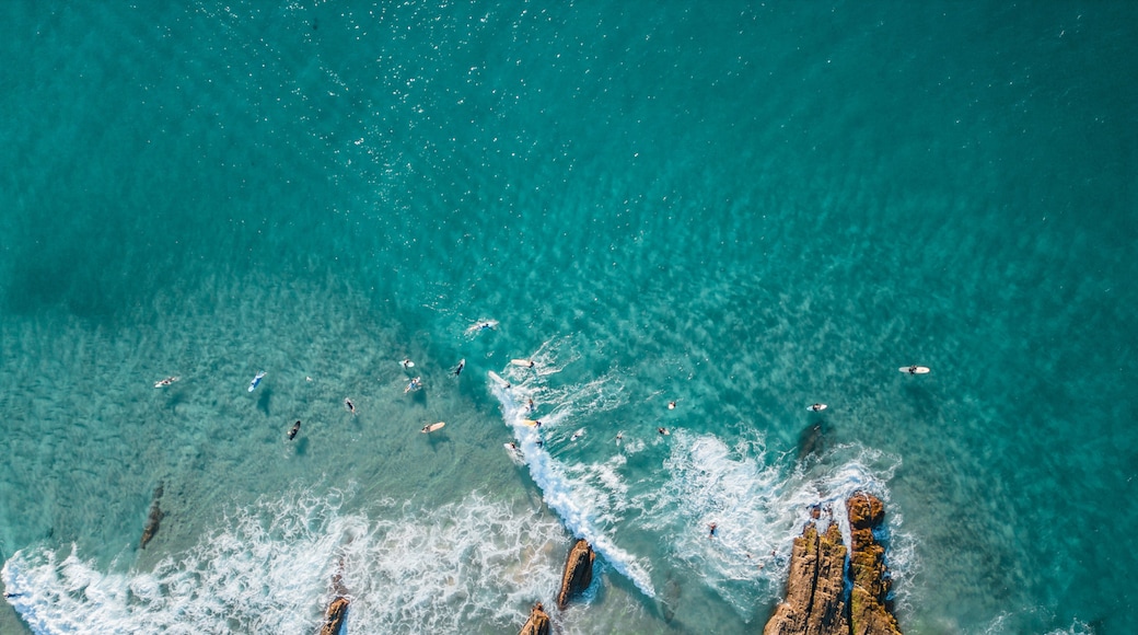 Overhead shot of surfers at Snapper Rocks, NSW
