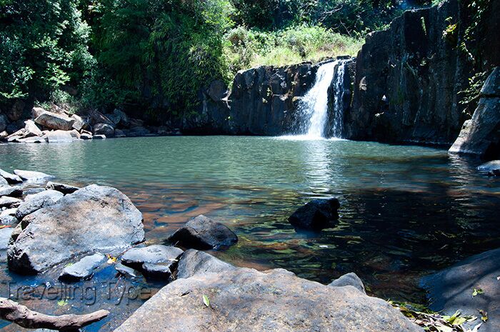 A waterfall in a forested area with clear water, surrounded by large rocks and trees.