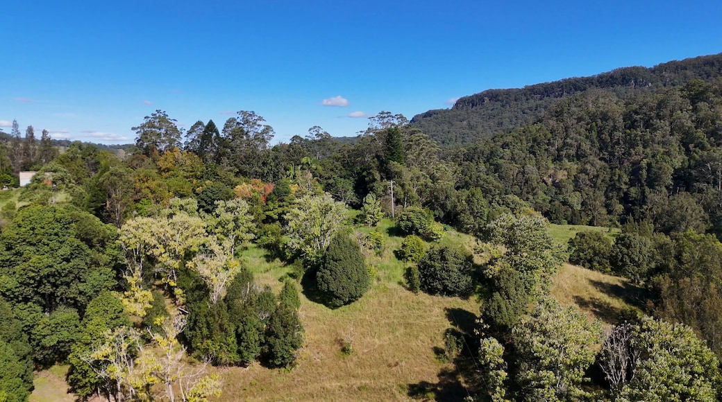 East Lismore
