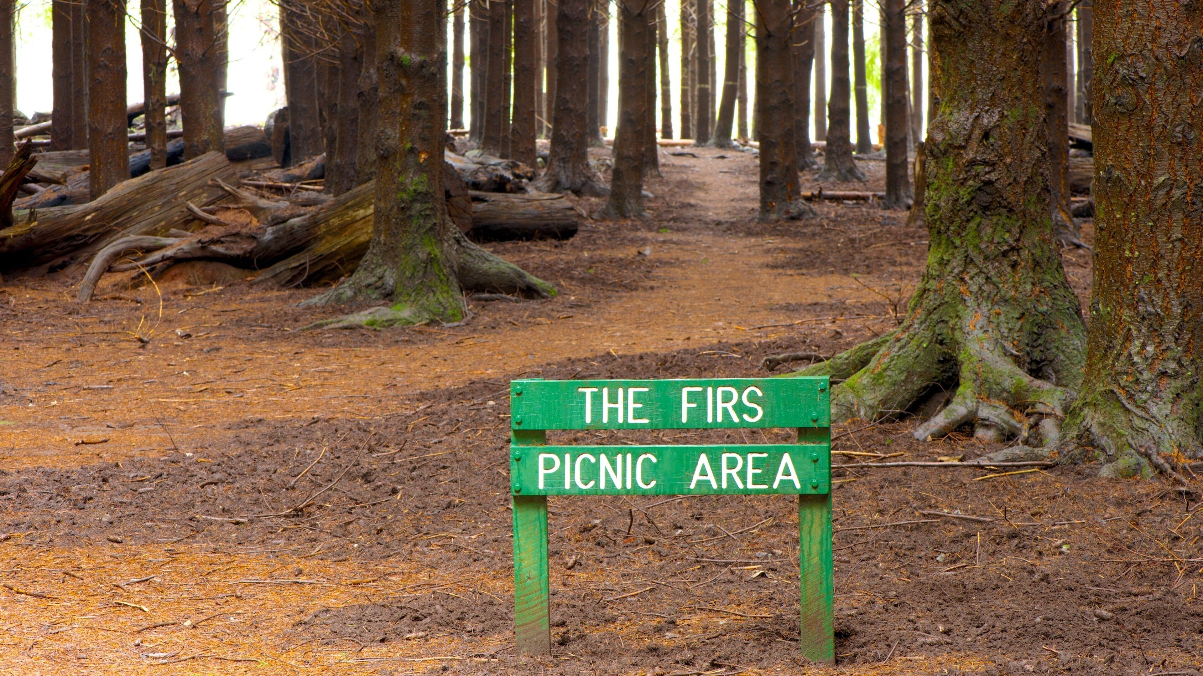 Chichester which includes signage and a garden