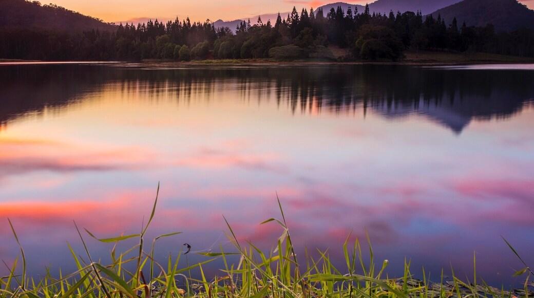 I recently spent some time in the Tweed Valley for a work project and my favorite local discovery was Crams Farm Reserve for gorgeous views over Mount Wollumbin (aka Mount Warning.) We also got incredibly lucky with a killer sunset đ±đđ„.