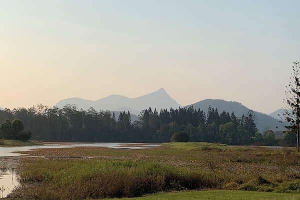A super quiet spot for a picnic to to read a book
