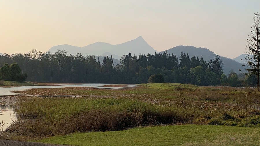 A super quiet spot for a picnic to to read a book