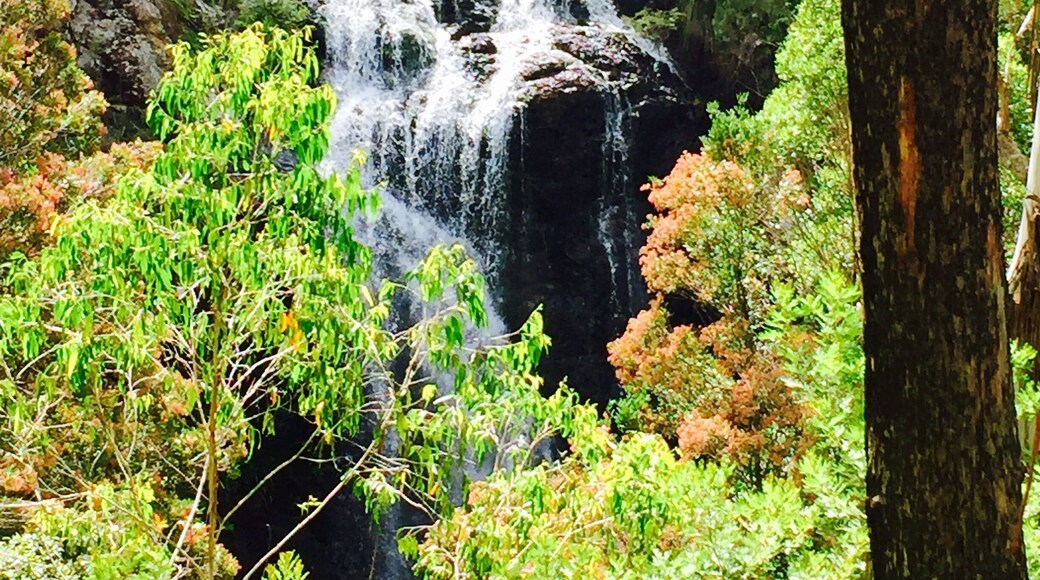 At the fall beautiful spots.