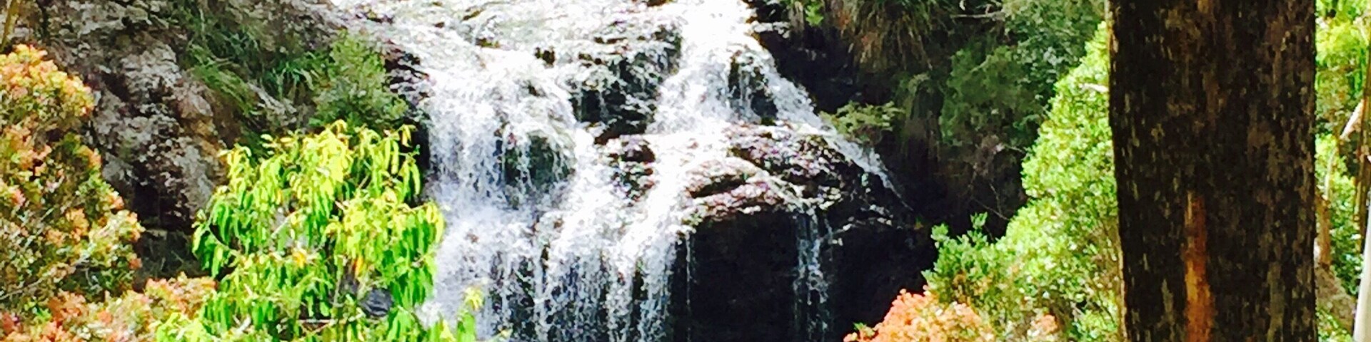 At the fall beautiful spots.