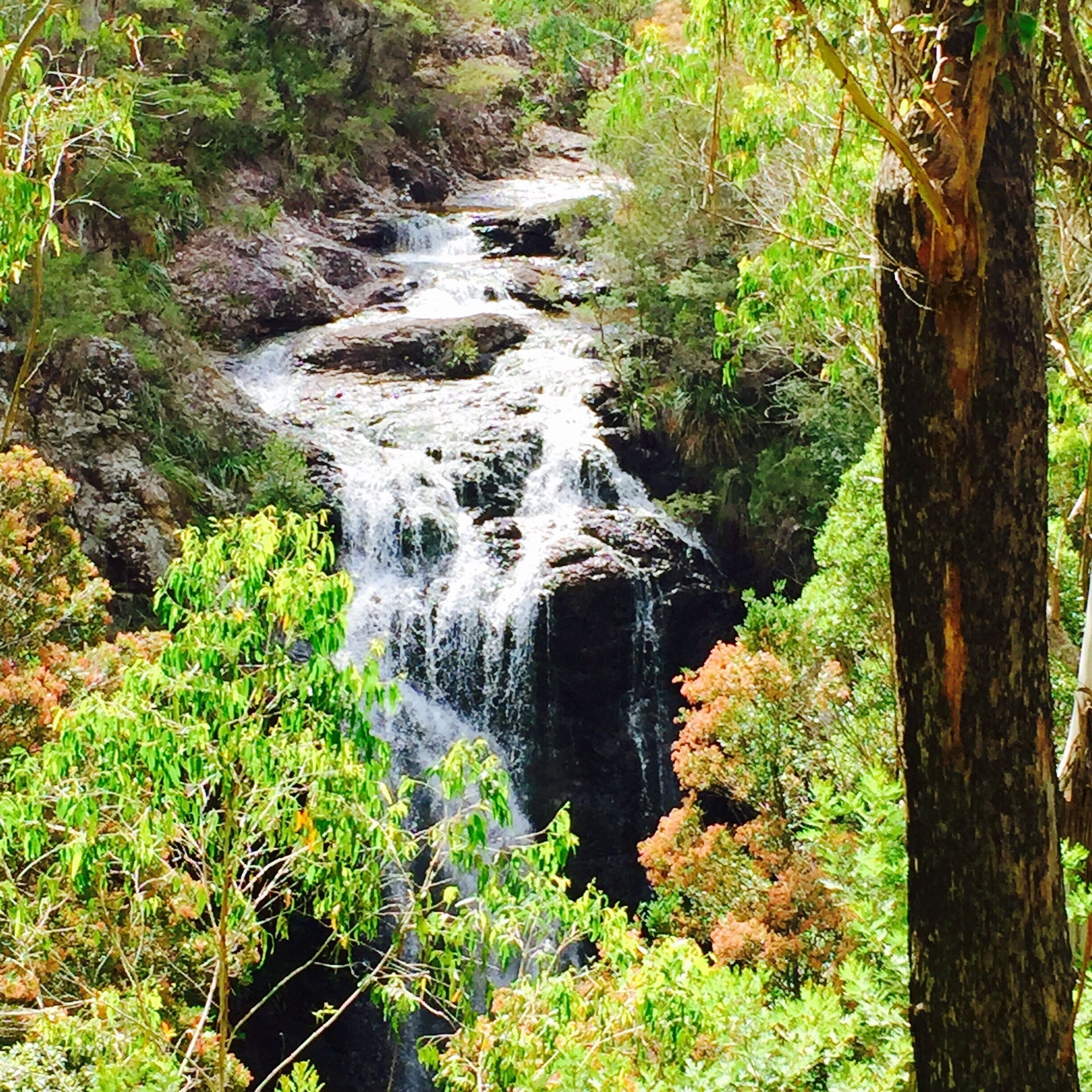 A waterfall cascading through a forested gorge.