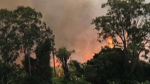 Burning sugar cane prior to harvesting