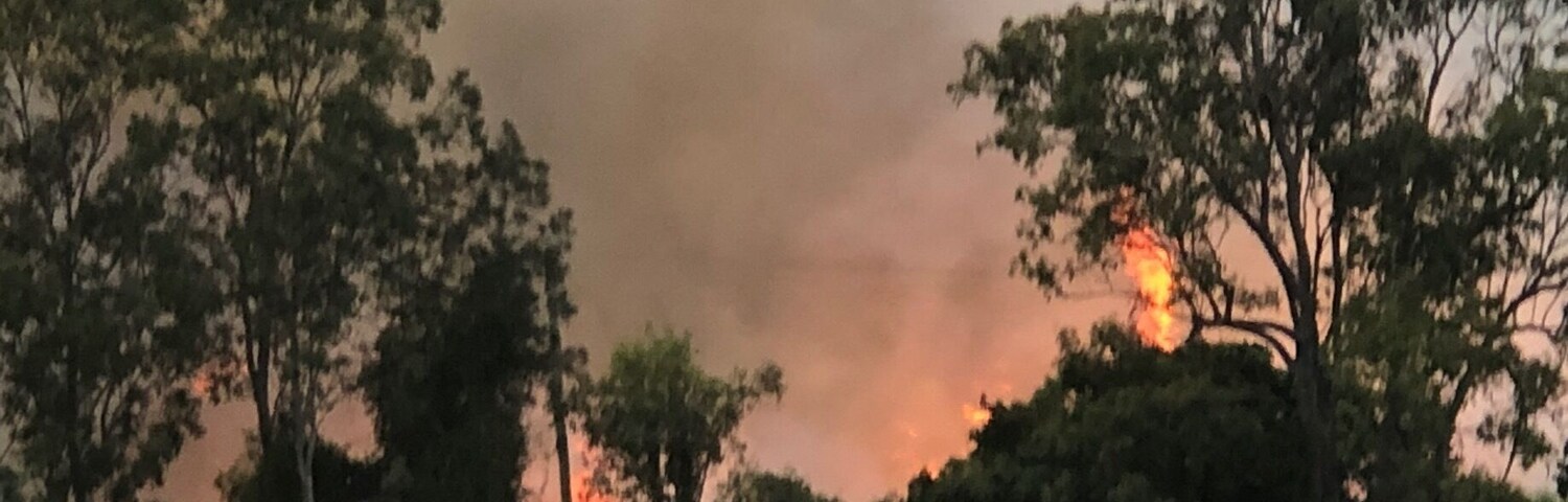 Burning sugar cane prior to harvesting