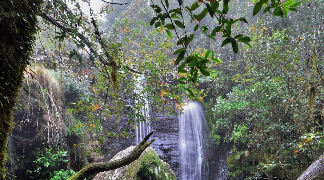 This is an obscure waterfall called Tea Tree. When it's dry there's barely a trickle here but I shot this one day when it was raining. I had to take cover under a log for about 20 minutes before I managed to get this shot.