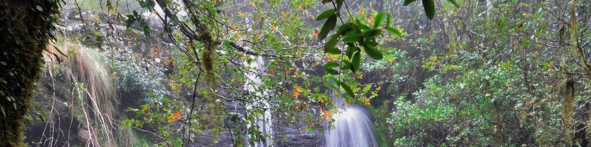 This is an obscure waterfall called Tea Tree. When it's dry there's barely a trickle here but I shot this one day when it was raining. I had to take cover under a log for about 20 minutes before I managed to get this shot.