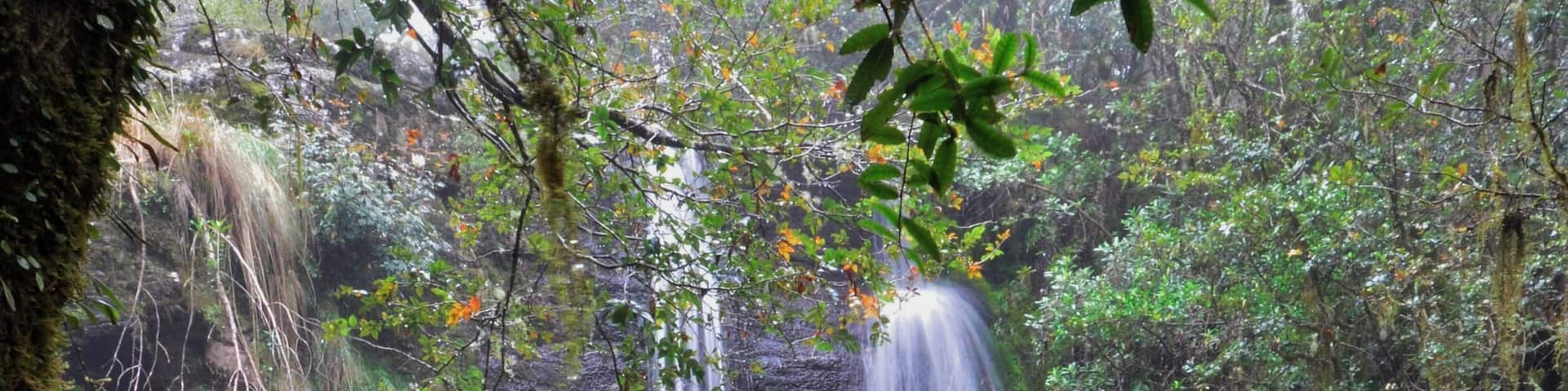 This is an obscure waterfall called Tea Tree. When it's dry there's barely a trickle here but I shot this one day when it was raining. I had to take cover under a log for about 20 minutes before I managed to get this shot.