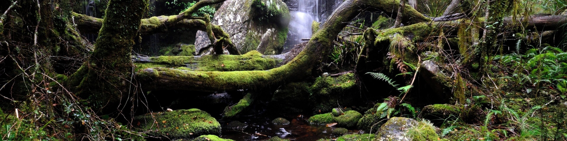 This is Ti-Tree Falls, but, if you go there, don't expect much flow. I took this after sheltering for 20 minutes under a log but still managed to get saturated.
If you're looking for falls in this park, there are some, but you have to research to find them.